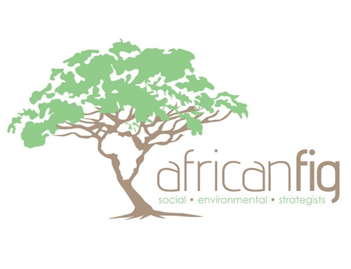 African Fig Logo Design